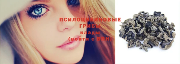 спайс Алзамай