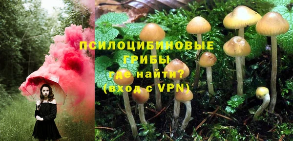мет Арсеньев